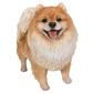 Hi-Line Gift Medium Standing Pomeranian Garden Statue - image 1