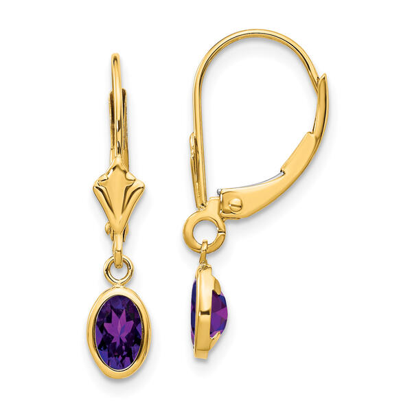 Gemstone Classics&#40;tm&#41; 14kt. Gold Amethyst Leverback Earrings - image 