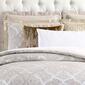 Charisma Paloma Decorative Pillow - 18x18 - image 3
