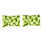 Jordan Manufacturing 2pk. Hydrangea Floral Lumbar Throw Pillows - image 1