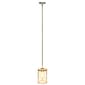 Lalia Home 1-Light Adjustable Cylindrical Clear Glass Pendant - image 1