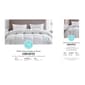 Blue Ridge Martha Stewart 250TC Goose Feather And Down Comforter - image 5