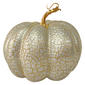 Northlight Seasonal 7in. Champagne Crackled Pumpkin Decoration - image 1