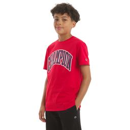 Boys (8-20) Champion® Graphic Tee - Lychee