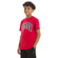Boys (8-20) Champion® Graphic Tee - Lychee - image 3