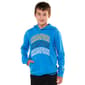 Boys (8-20) Champion(R) Graphic Hoodie - Blue Bell - image 1