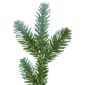 Northlight 48in. Pre-Lit Blue Spruce Christmas Wreath - image 5
