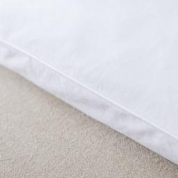 Firefly Twin Pack White Goose Feather and Nano Down Pillows