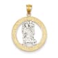 Unisex Gold Classics&#40;tm&#41; 14kt. Rhodium St. Christopher Pendant - image 1
