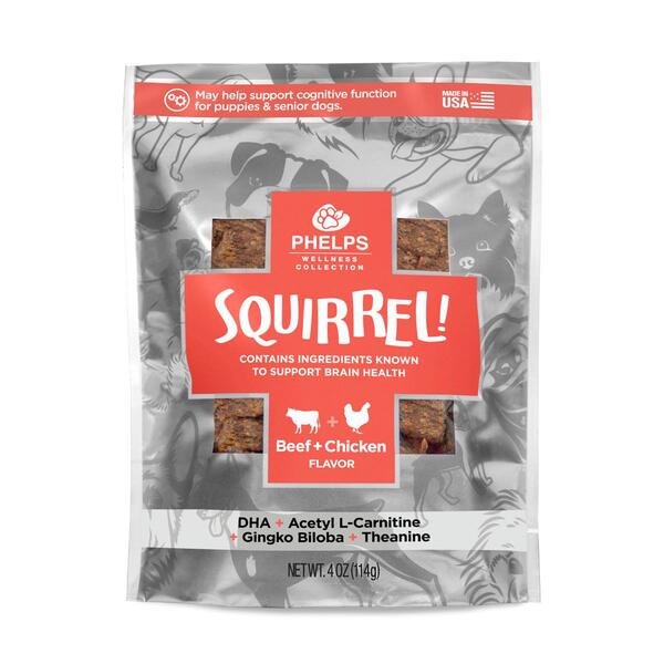 Phelps Wellness Squirrel Attention Focusing Dog Treats - 4.5oz. - image 