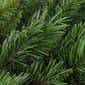 Northlight Seasonal 24in. Mixed Pine Artificial Christmas Wreath - image 2