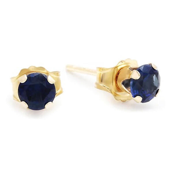 10kt. Gold 4mm Blue Sapphire Stud Earrings - image 