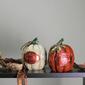 Northlight Seasonal Autumn Harvest "Be Joyful" Pumpkin Figurines - image 3