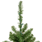 Northlight 3ft. Pre-Lit Canadian Pine Artificial Christmas Tree - image 5