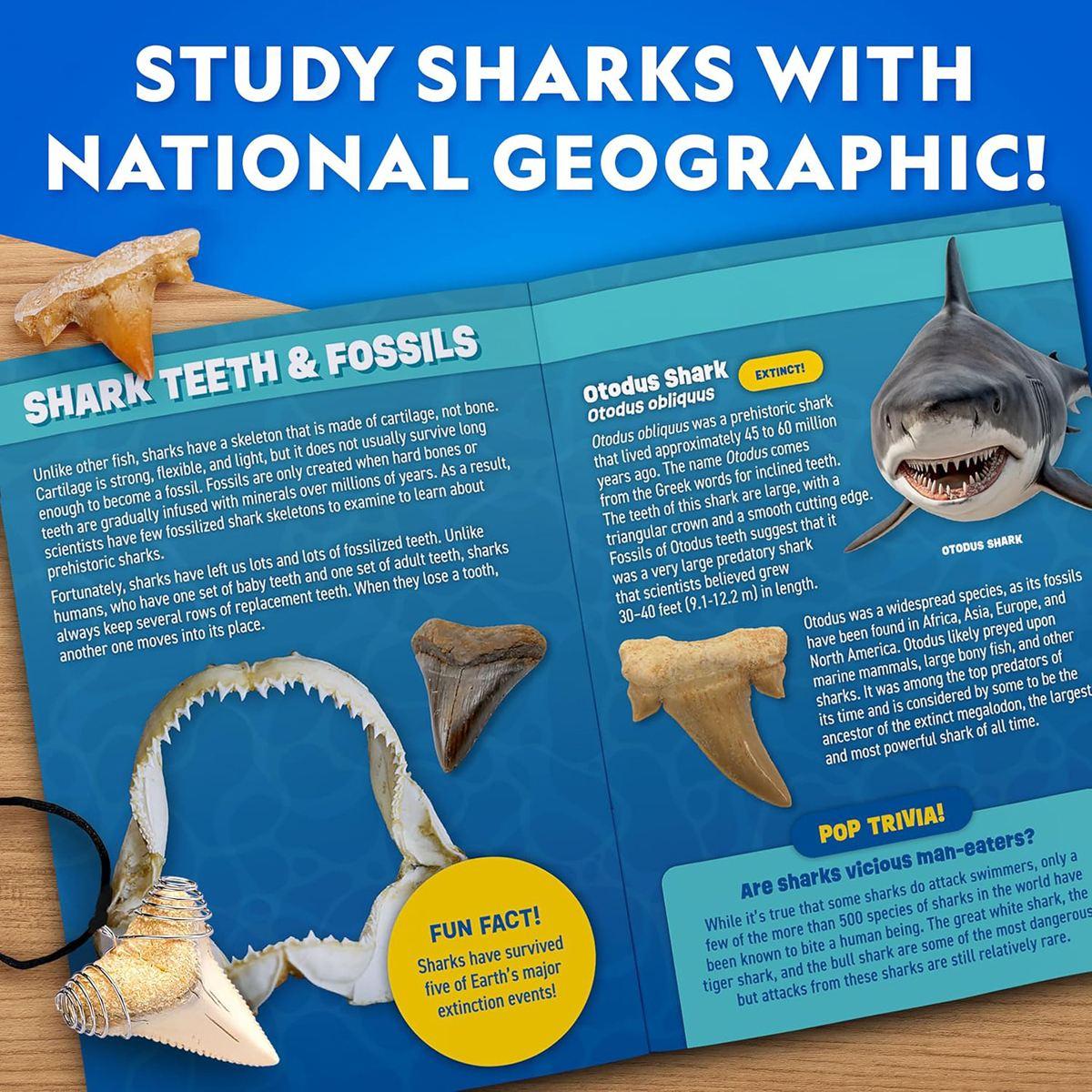 National Geographic Replica Shark Tooth Dig Kit