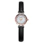Womens Ellen Tracy Rose Faceted Bezel Mini Strap Watch-ET5453SLR - image 1