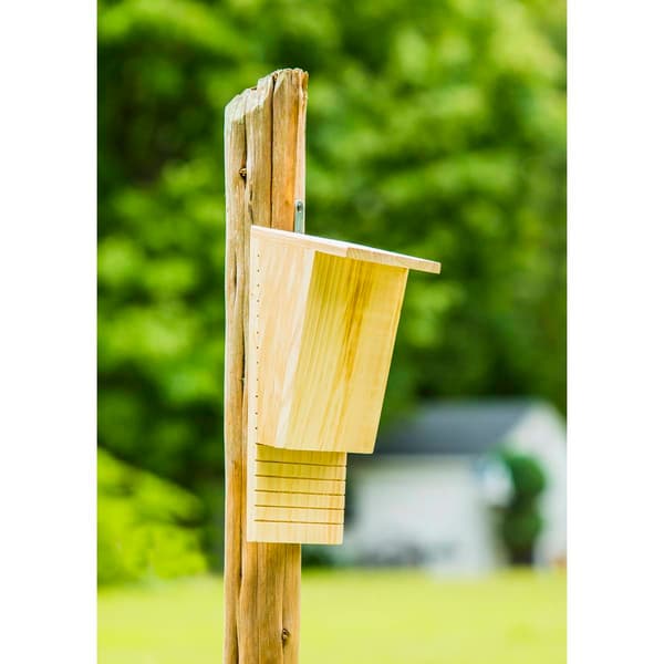 Evergreen Bat House