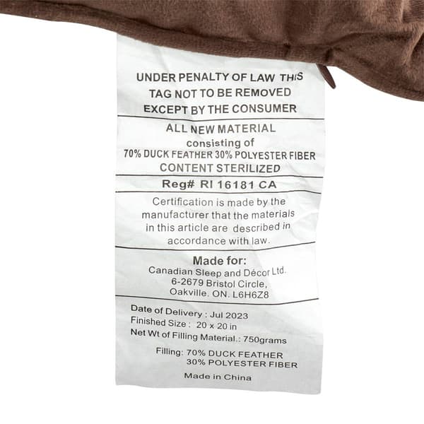 Metro Luxe 2pk. Velvet Feather-Filled Decorative Pillows - 20x20