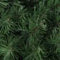 Northlight Seasonal Colorado Spruce Artificial Christmas Wreath - image 2