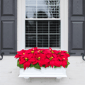Puleo International 24in. Pre-Lit Red Poinsettia Window Box Décor - image 2