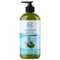 Petal Fresh Energizing Rosemary & Mint Bath & Shower Gel - image 1