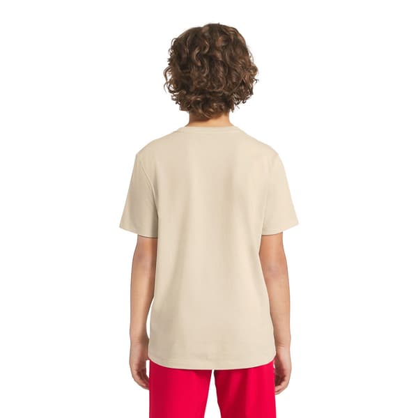 Boys (8-20) Champion® Graphic Tee - Sand Khaki