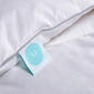 Blue Ridge Martha Stewart White Feather Down Pillow 2 Pack - image 4