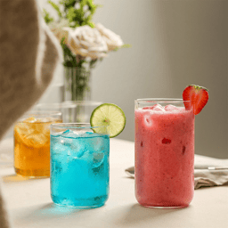 Stone Lain Celina 16pc. Borosilicate Glassware Set