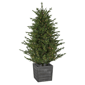 Northlight Real Touch™ 6ft. Pre-Lit Deluxe Pine Christmas Tree - image 2