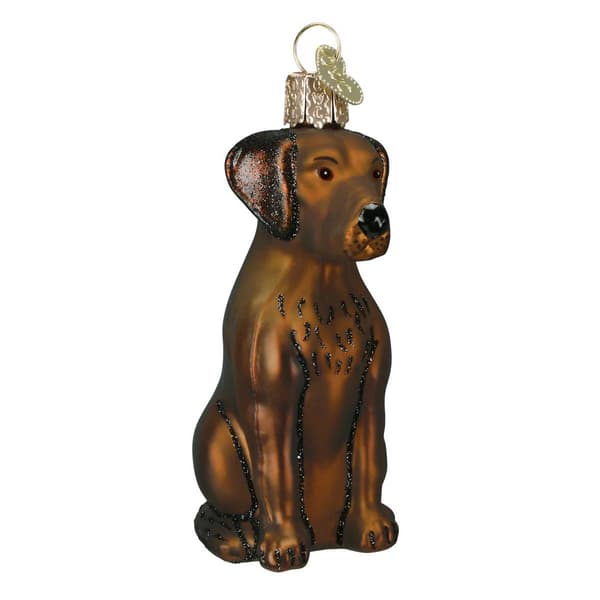 Old World Christmas Sitting Chocolate Lab Ornament