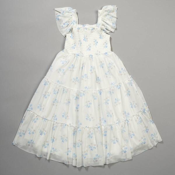 Girls &#40;4-6x&#41; Rare Editions Blue Floral Power Mesh Tier Dress - image 