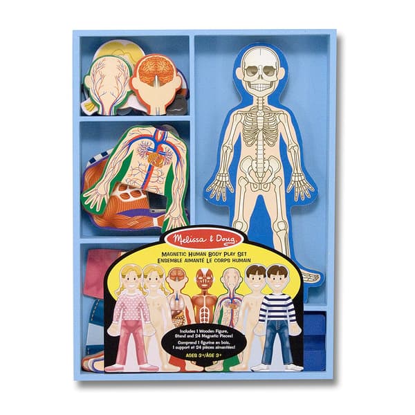 Melissa & Doug(R) Magnetic Human Body Play Set - image 