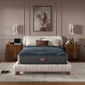 Beautyrest® World Class Level Four Hybrid Firm Mattress - image 1