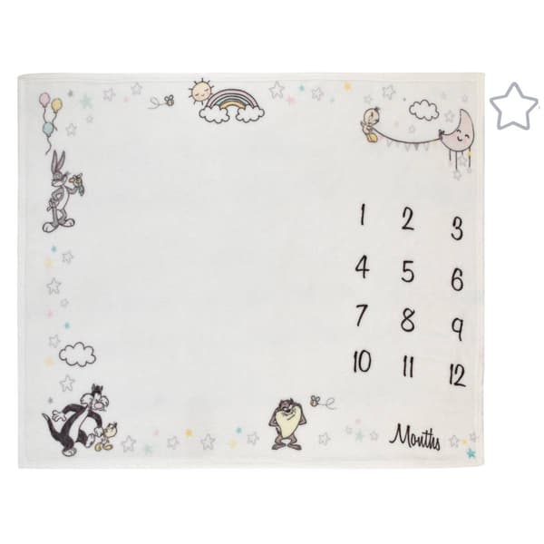 Warner Bros. Looney Tunes Milestone Baby Blanket - image 