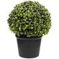 Northlight Seasonal Potted Artificial Boxwood Spring Plant - image 1