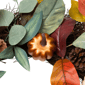 Northlight 24in. Pumpkin Pinecone &amp; Gourd Fall Harvest Wreath - image 6