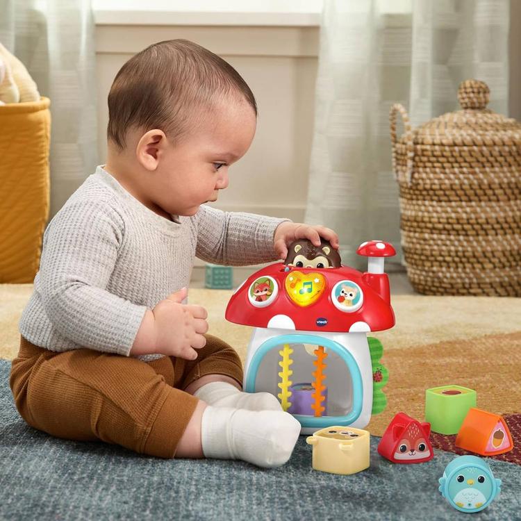 VTech®  Baby Put & Take Peek-A-Boo House
