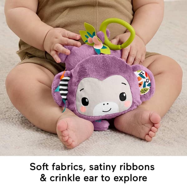 Fisher-Price® Sing &amp; Go Purple Monkey