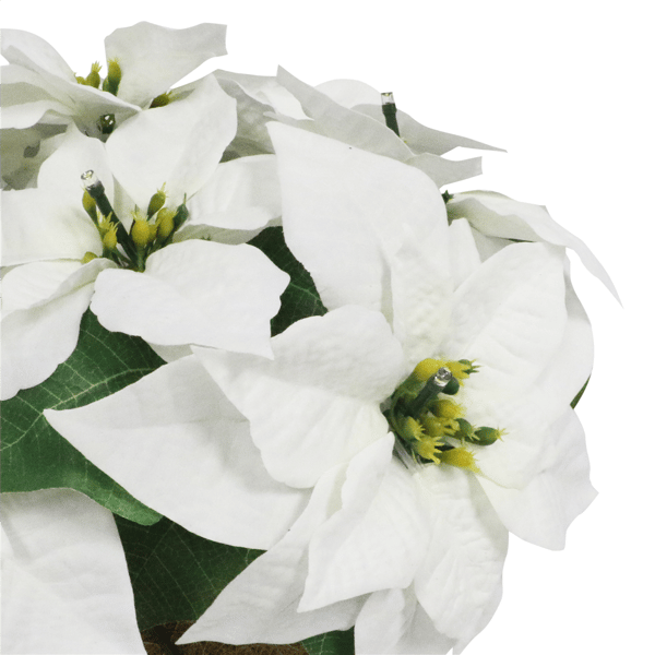 Puleo International 22in. Pre-Lit Potted White Poinsettias