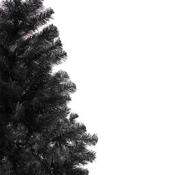 Northlight Seasonal 6ft. Black Colorado Spruce Tree