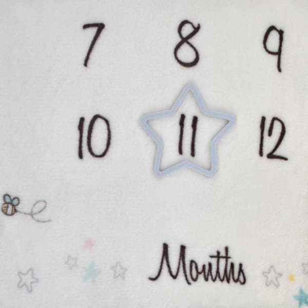 Warner Bros. Looney Tunes Milestone Baby Blanket