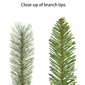 Puleo International 5pc. Pre-Lit LED Christmas Décor Set - image 6