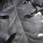 National Tree 28in. Halloween Oak Leaf Wreath - image 2