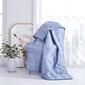 Dream Theory Polar Air Cooling Weighted Throw Blanket - image 2