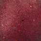 Northlight Holographic Glitter Burgundy Christmas Ball Ornament - image 6
