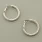 Freedom Nickel Free Hoop Earrings - image 1
