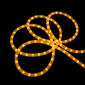 Northlight Seasonal 102ft. Indoor/Outdoor Rope Lights - image 3