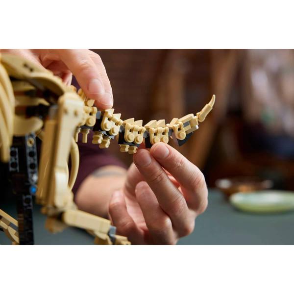 LEGO® Jurassic World Dinosaur Fossils: Triceratops