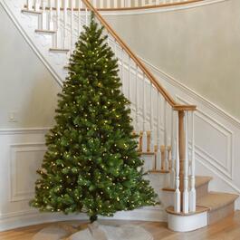 National Tree 7.5ft. Clear North Valley Spruce Christmas Tree