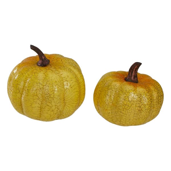 Northlight Seasonal Set of 5 Artificial Pumpkins Decoration
